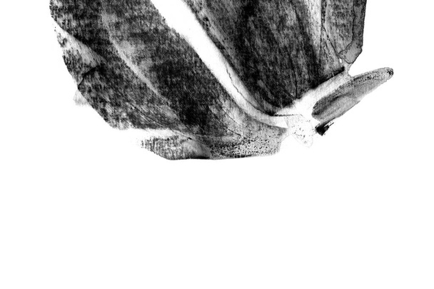 Frottis abstraits traits de peinture blanche et noire
  - Photo, image