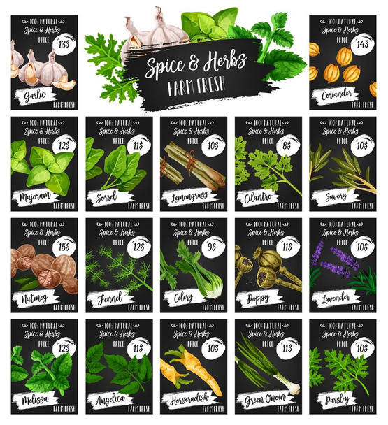Herbs, natural spices seasonings farm market price - Vector, Image