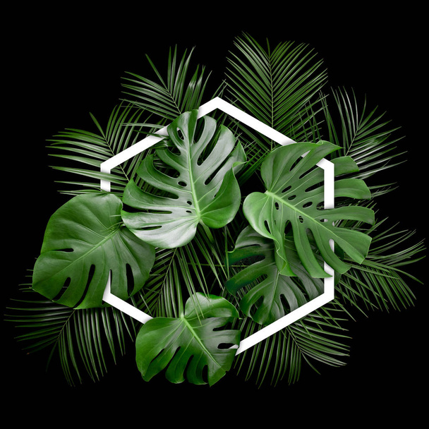 Creative arrangement of tropical monstera palm leaves with hexagonal paper card note. Floral flat lay precisely isolated on black background. Nature concept idea. Space for copy, text, lettering. - Photo, Image