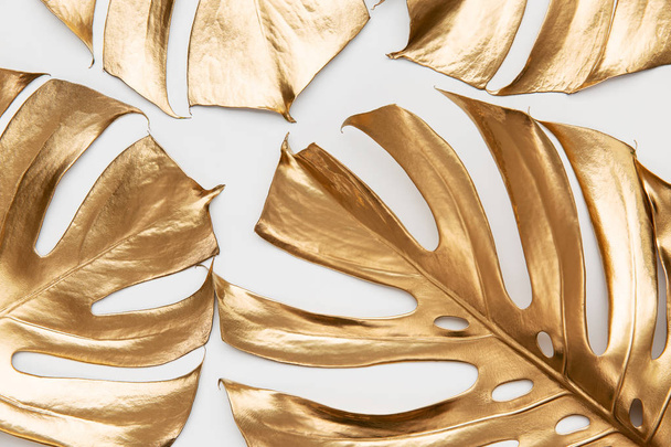 Artistic arrangement of real monstera leaves painted with gold paint on white background. Creative tropical pattern. Luxury summer concept. - Photo, Image