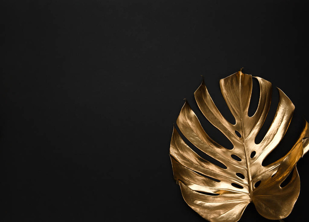 Φυσικό ενιαία Μονστέρα λαμπερά φύλλα σπρέι βαμμένα με χρυσή μεταλλική μπογιά σε σκούρο βαθύ μαύρο φόντο. Μοντέρνο δημιουργικό σύγχρονο θερινό έννοια της μόδας. - Φωτογραφία, εικόνα