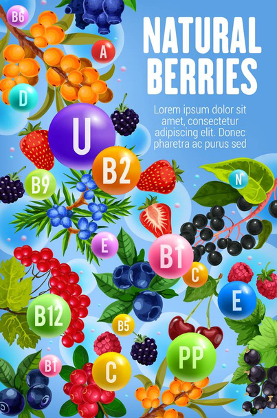 Vitaminas saludables en frutas naturales de bayas forestales
 - Vector, imagen