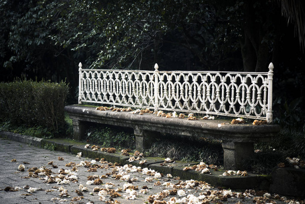 舗装に落ち葉を持つ古い石造りのベンチ - 写真・画像