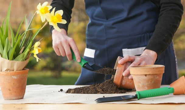 Venkovní portrét zahradník výsadbu květin v keramický hrnec - Fotografie, Obrázek