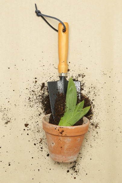 Studio shot of gardening tools. Pots, gardening trowel and soil  - Photo, Image