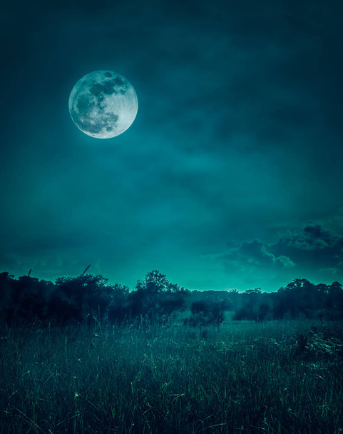 Landschap van nachtelijke hemel met wolken. Mooie heldere volle maan boven wildernis gebied in het bos, sereniteit natuur achtergrond.  - Foto, afbeelding