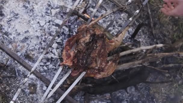 Preparación de aves, tema de caza. Cocinar todo un cuerpo de faisán en un pincho de hierro sobre una fogata con brasas quemadas hechas en el suelo, ver de cerca un delicioso pájaro marrón crujiente
 - Metraje, vídeo