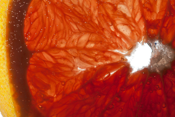 Slice oranges in water - Foto, imagen