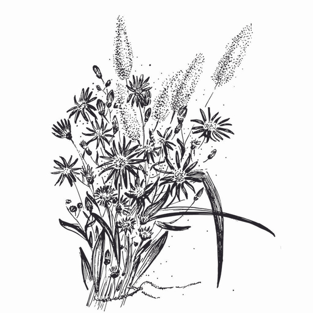 Floral backgrounds with hand drawn herbs and wildflowers. Monochrome vector illustration - Vector, Image