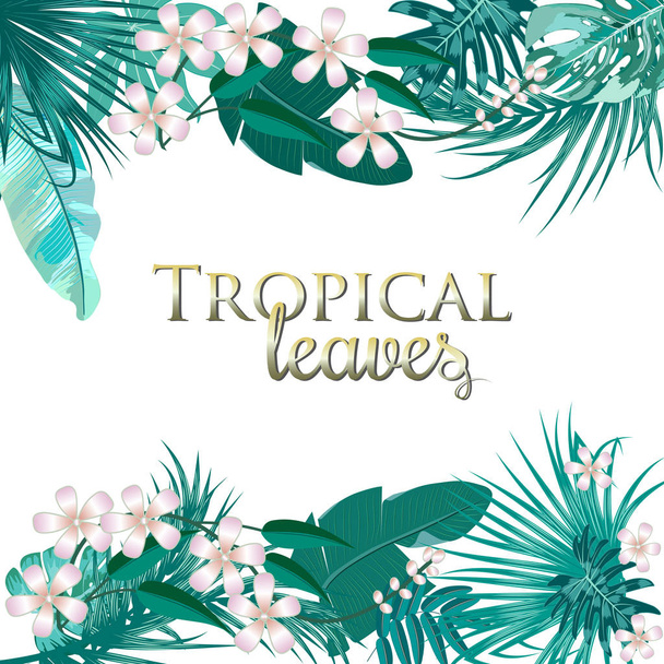 Tropical palm leaves and flowers on white background. - Vector, Image