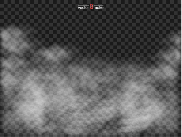Ομίχλη ή καπνός απομονωμένες διαφανή ειδικό εφέ. Ρεαλιστική απομονωμένες σύννεφο σε σκούρο φόντο διαφανές. Διάνυσμα ρεαλιστική καπνό στο διαφανές φόντο.  - Διάνυσμα, εικόνα