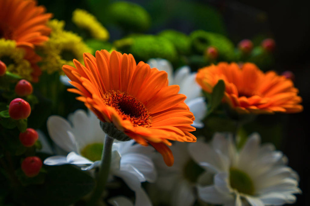 A bouquet of flowers. - Fotoğraf, Görsel