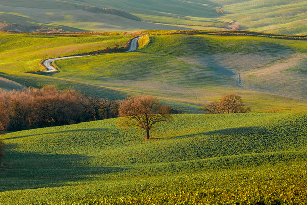 Paisaje de hermoso paisaje rural con pueblo en Toscana, Italia
 - Foto, Imagen