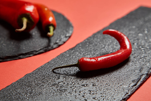 Red hot chili pepper and red peppper on a black slate dish on a red background. - Φωτογραφία, εικόνα
