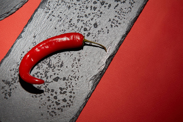 One chili pepper or cayenne pepper on a black slate dish on a red background. Image. - Φωτογραφία, εικόνα