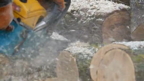 Leikkaus puun läpi moottorisahalla - Materiaali, video