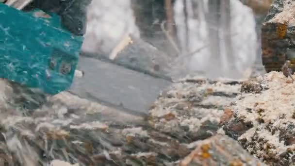 Lumberman usando la motosierra aserrando leña en invierno
 - Imágenes, Vídeo