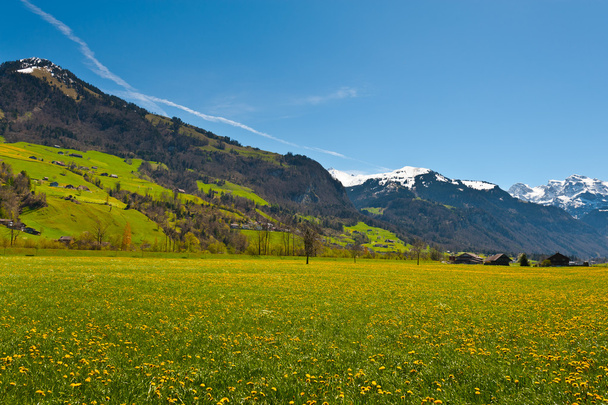 Швейцарський село
 - Фото, зображення