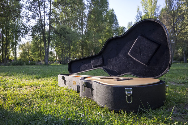 Guitarra acústica na grama ao pôr do sol
 - Foto, Imagem