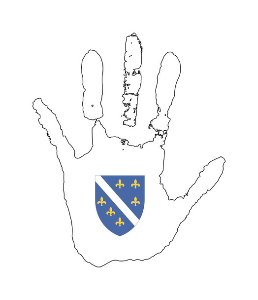 impressão manual vetorial sob a forma da bandeira da Bósnia-Herzegovina. cor branca da bandeira
 - Vetor, Imagem