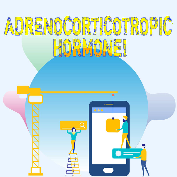 Conceptual hand writing showing Adrenocorticotropic Hormone. Business photo showcasing hormone secreted by pituitary gland cortex Staff Working Together Target Goal with SEO Process Icons. - Photo, Image