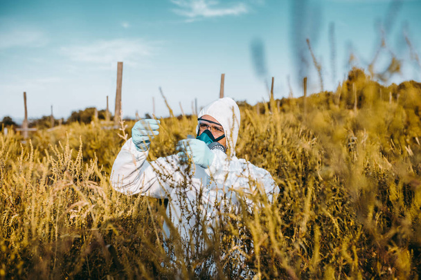 Weed control. Industrial agriculture researching. Man in protective suite and mask taking weed samples in the field. Natural hard light on sunny day.  - Photo, image