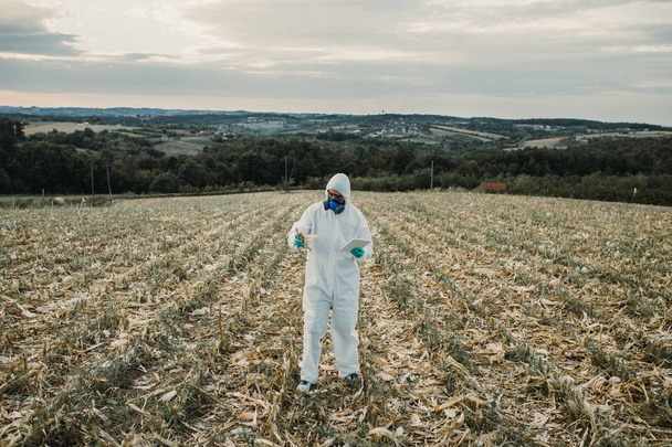 Weed control. Industrial agriculture researching. Man with digital tablet in protective suite and mask taking weed samples in the field. Natural hard light on sunny day.  - Zdjęcie, obraz