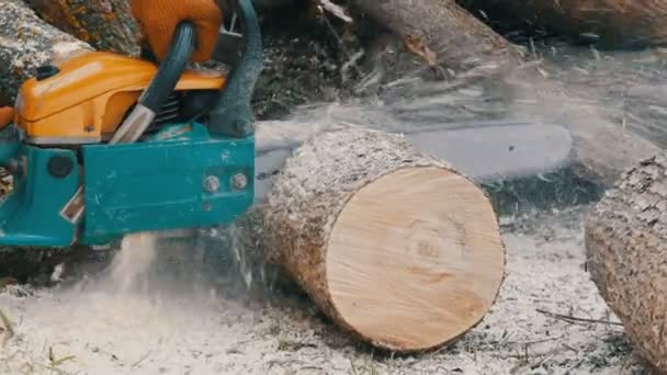 Un hombre leñador con una motosierra corta troncos de árbol para un incendio
 - Imágenes, Vídeo