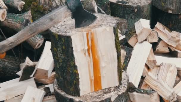 Duży stary drewniany topór kotlety dół drzewa pnie na tle cięcia dziennika - Materiał filmowy, wideo