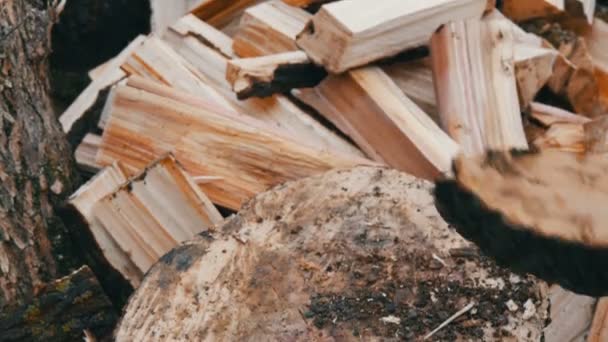 Człowiek drwal kotlety drzewa pnie z siekierą na Drewno kominkowe z bliska widok - Materiał filmowy, wideo