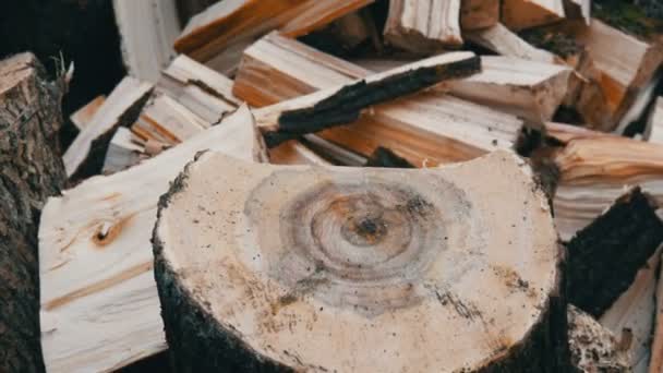 Velký starý dřevěný sekera kotlet dolů po kmeny stromů na pozadí řezané klády - Záběry, video
