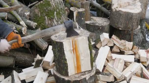 Чоловічі руки подрібнюють великі колоди і стовбури дерев сокирою для майбутнього вогню
 - Кадри, відео