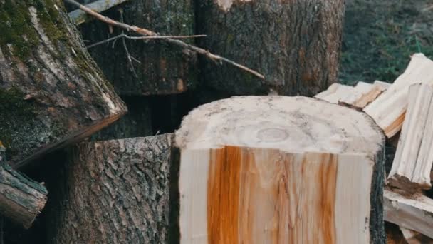 Człowiek drwal kotlety drzewa pnie z siekierą do drewna opałowego - Materiał filmowy, wideo