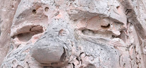 Ojos y nariz de un hombre de piedra. Un fósil antiguo. Textura de roca de concha rosa. Fondo de piedra
. - Foto, imagen