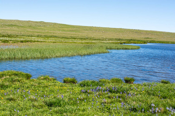 Highland lake in green natural background in Artvin  - Фото, изображение