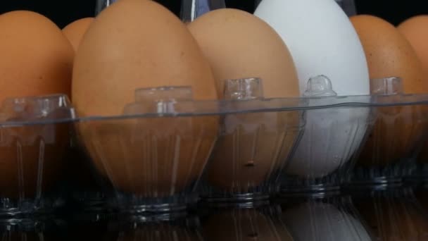 Grands œufs de poule bruns et blancs dans un plateau en plastique transparent sur fond blanc
 - Séquence, vidéo
