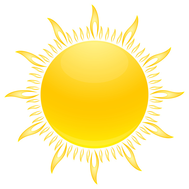 Słonecznik - Zdjęcie, obraz