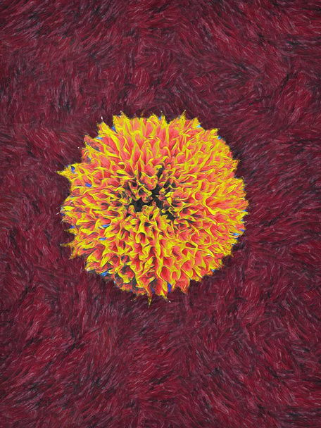 Картина изолированного цветка Мэриголд в стиле художника-постимпрессиониста Винсента ван Гога
. - Фото, изображение