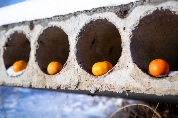 beton levha içinde dört delik vardır ve her biri bir turuncu içerir - Fotoğraf, Görsel