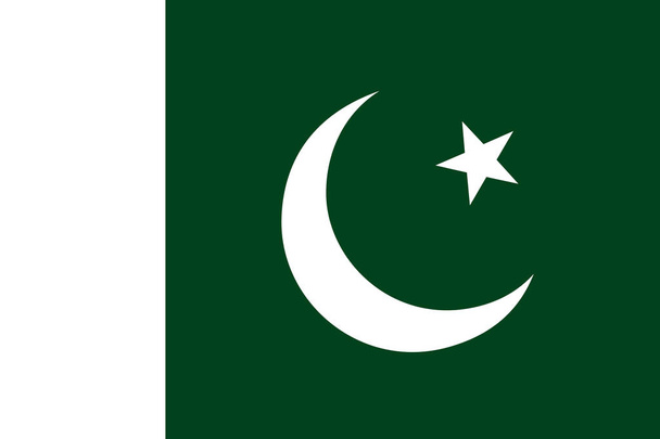 Vlajka Pákistánu. vektorové ilustrace - Vektor, obrázek