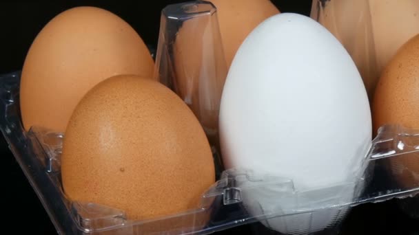 Beyaz arka planda şeffaf bir plastik tepsisinde büyük kahverengi ve bir beyaz tavuk yumurtası - Video, Çekim