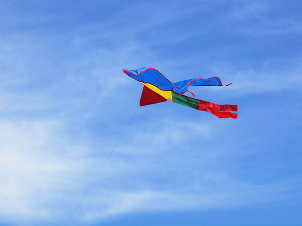 Kite in vlucht - Foto, afbeelding
