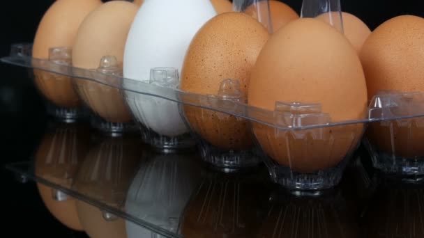 Grandi uova di pollo marroni e uno bianco in un vassoio di plastica trasparente su sfondo bianco
 - Filmati, video