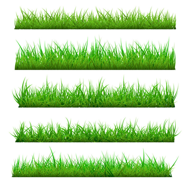 Set of Vector Spring Grass - Vector, Image