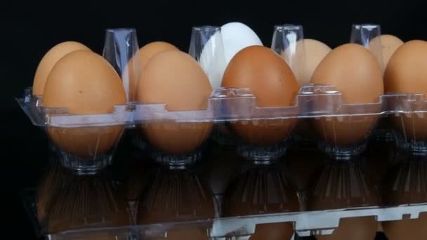 Beyaz arka planda şeffaf bir plastik tepsisinde büyük kahverengi ve bir beyaz tavuk yumurtası - Video, Çekim