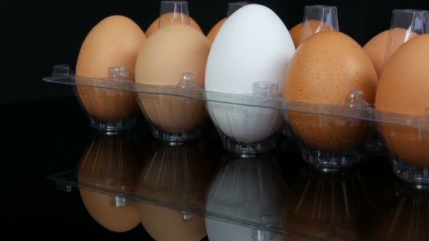Velká hnědá a jedna bílá Kuřecí vejce v průhledném plastovém zásobníku na bílém pozadí - Záběry, video