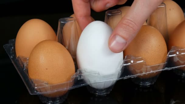 Grande marrom e um branco ovos de galinha em uma bandeja de plástico transparente no fundo branco
 - Filmagem, Vídeo