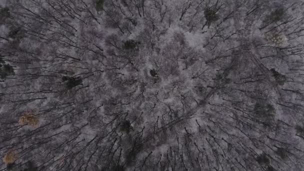 fotografowania zimowej natury z wysokości - Materiał filmowy, wideo