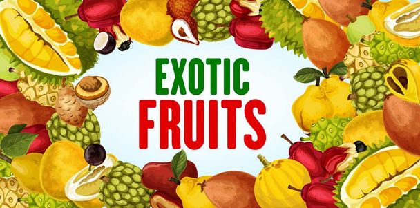 Exotic fruits and tropical berry frame banner - Vector, Image