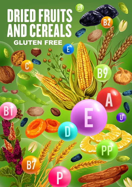 Vitamins in dried fruits, nuts and cereals - Vector, Image